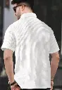1000037446.webp